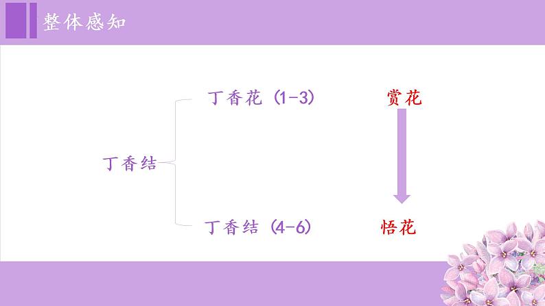 【同步备课】2.丁香结(课件)六年级语文上册部编版第5页