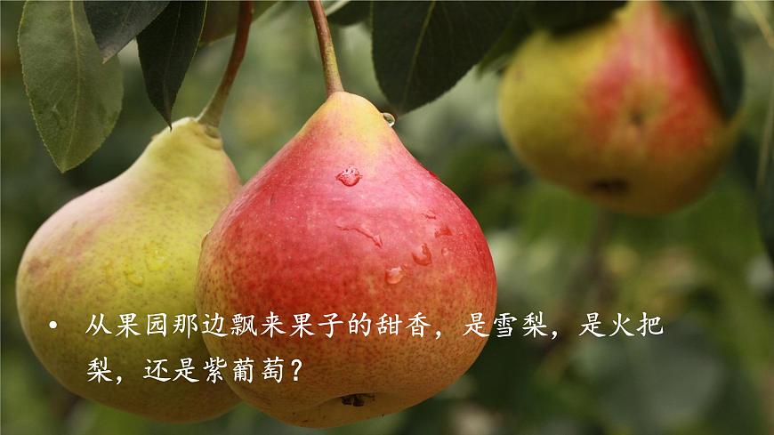 語文園地一 課件第8頁