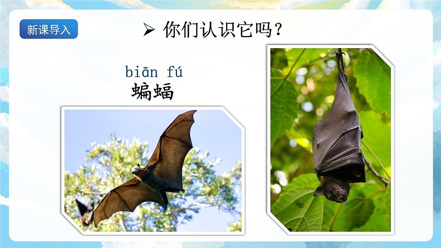 6《夜間飛行的秘密》課件第5頁