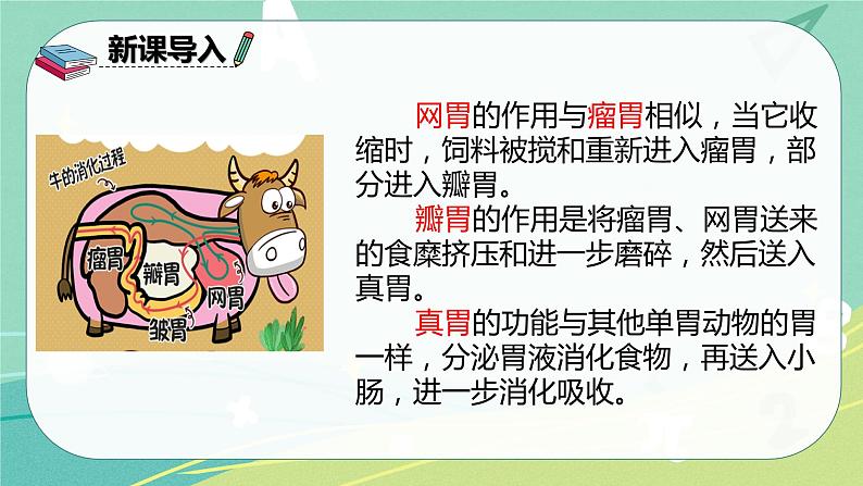 部编版三年级上册语文 10.在牛肚子里的旅行 课件04