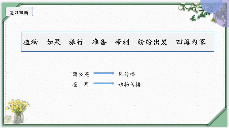 3《植物妈妈有办法》第二课时(课件)部编版语文二年级上册第2页