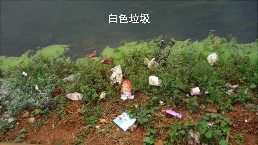 口語交際  我們與環(huán)境 課件第6頁