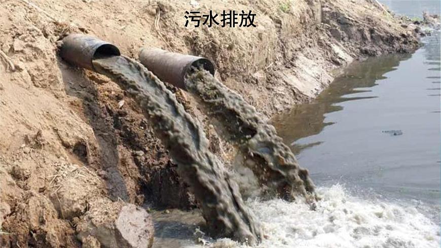 口語交際  我們與環(huán)境 課件第7頁