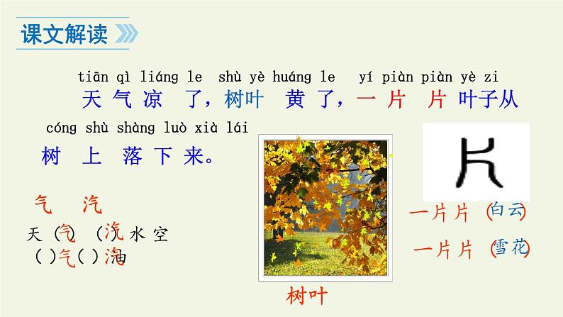 一年级语文上册教学课件-1 秋天(16)-部编版(共14张PPT)第4页
