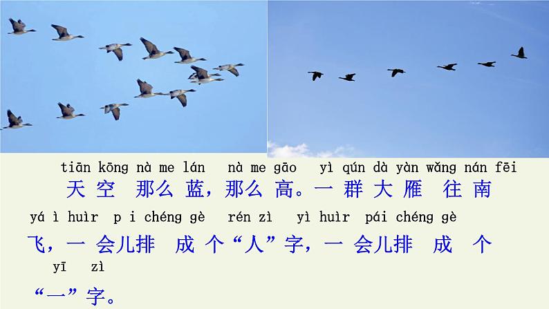 一年级语文上册教学课件-1 秋天(16)-部编版(共14张PPT)第5页