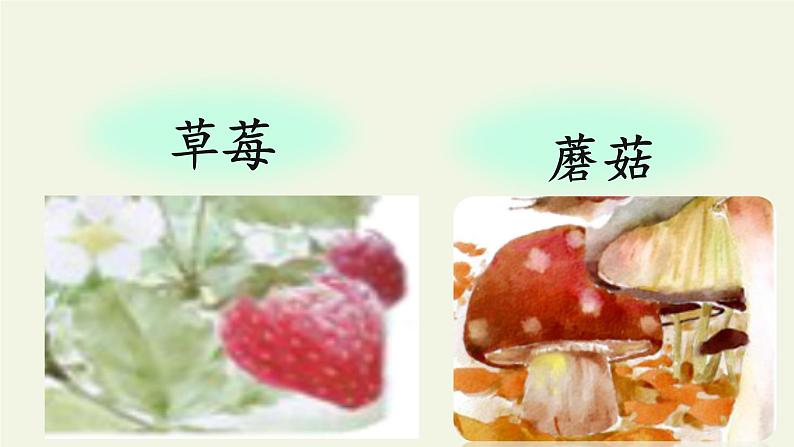 一年级语文上册教学课件-13 乌鸦喝水(45)-部编版(共20张PPT)06