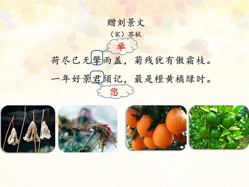 小学语文 部编版 三年级 古诗三首(第二课时)赠刘景文 课件06