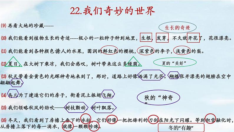 小学语文 部编版 三年级下册 第七单元第22课《我们奇妙的世界》(第2课时)课件06