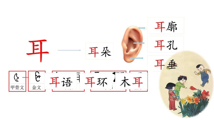 識(shí)字3-口耳目(課件第1課時(shí))第7頁(yè)