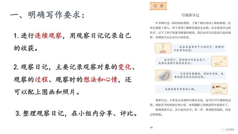 小学语文 部编版 四年级上册 第三单元《习作:写观察日记》 课件04