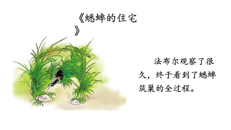 小学语文 部编版 四年级上册 第三单元《习作:写观察日记》 课件06