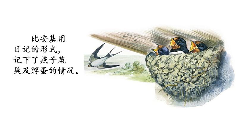 小学语文 部编版 四年级上册 第三单元《习作:写观察日记》 课件07