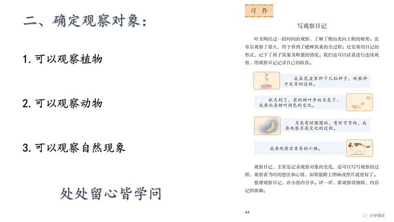 小学语文 部编版 四年级上册 第三单元《习作:写观察日记》 课件08