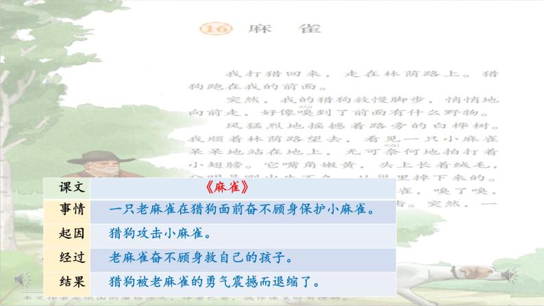 小学语文 部编版 四年级上册 第五单元《习作：生活万花筒》 课件08