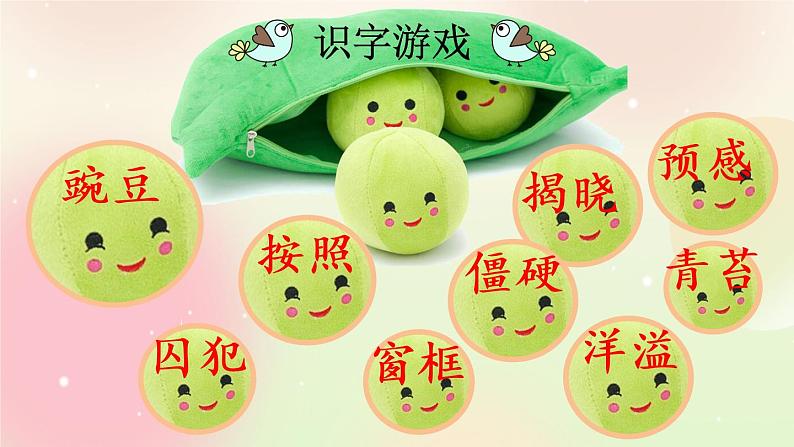 统编版4上语文 2.1 一个豆荚里的五粒豆 课件+教案+练习+素材06