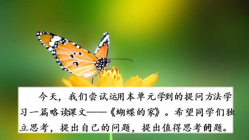 统编版4上语文 2.4 蝴蝶的家 课件+教案+练习+素材02