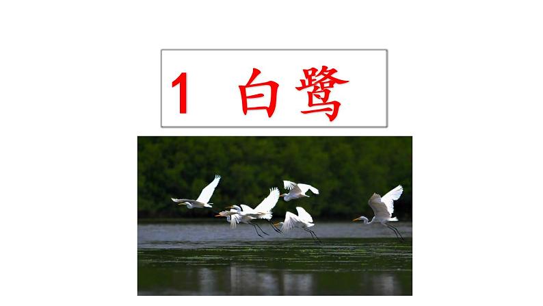 1 白鹭 课件 2022-2023学年部编版语文五年级上册第1页