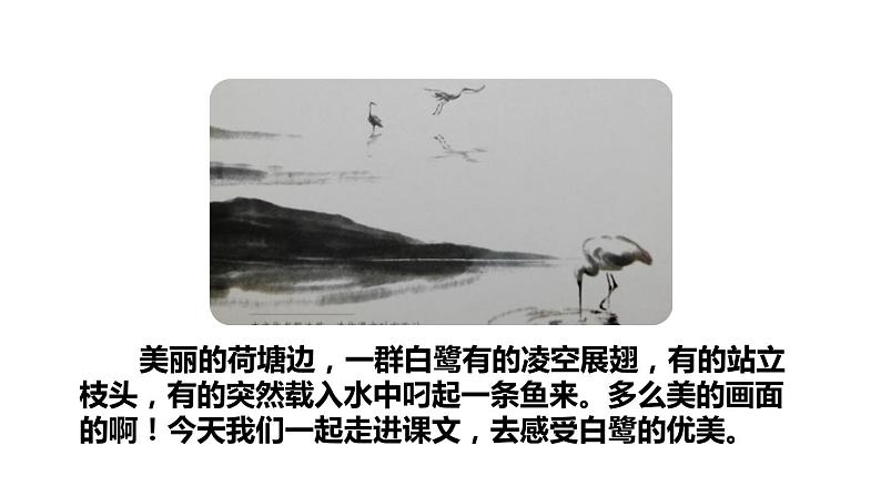 1 白鹭 课件 2022-2023学年部编版语文五年级上册第5页