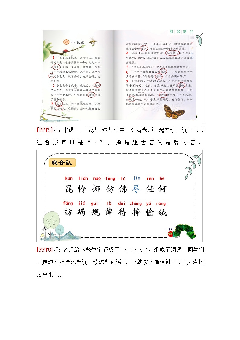 二年级下册语文 22.《小毛虫》第一课时 教学设计第3页