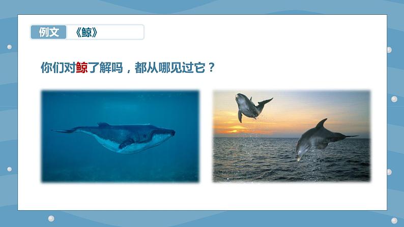 小学语文 五年级 第五单元习作例文 教学课件02