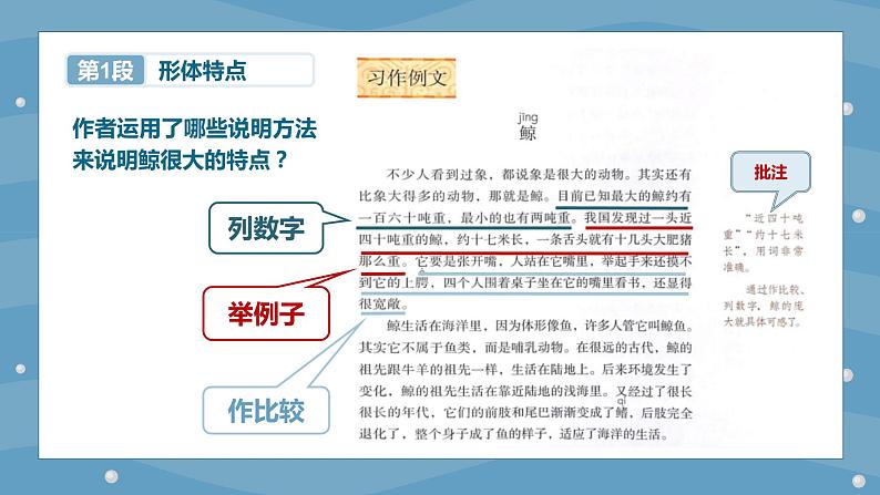 小学语文 五年级 第五单元习作例文 教学课件05