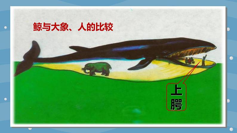小学语文 五年级 第五单元习作例文 教学课件06