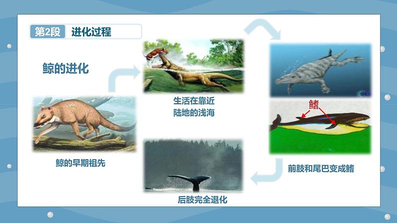 小学语文 五年级 第五单元习作例文 教学课件07