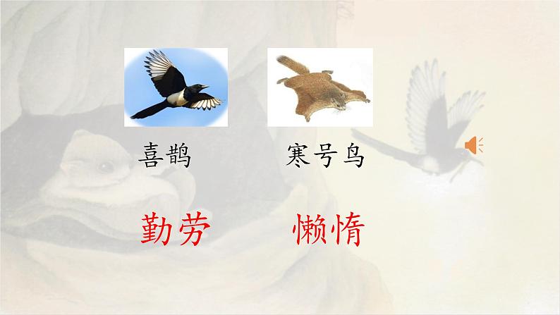 二年级上册语文 13.《寒号鸟》(第二课时)课件03