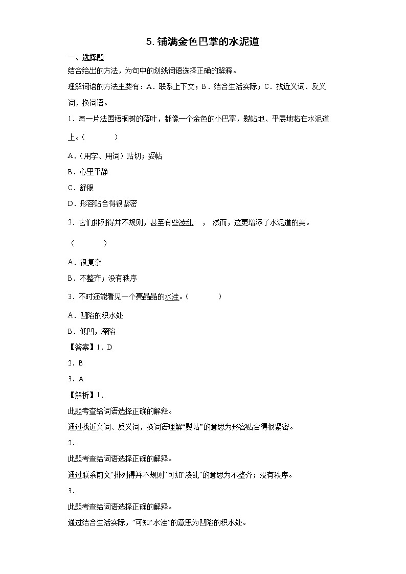 5.铺满金色巴掌的水泥道同步练习试题-2022-2023学年部编版语文三年级上册01
