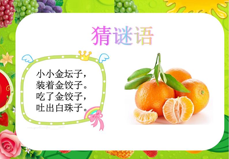 五感法作文启蒙 观察橘子1 课件01