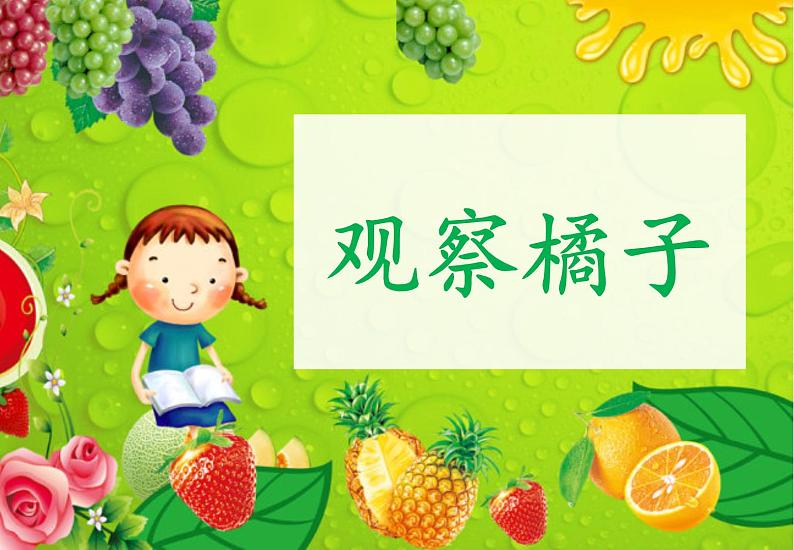 五感法作文启蒙 观察橘子1 课件02