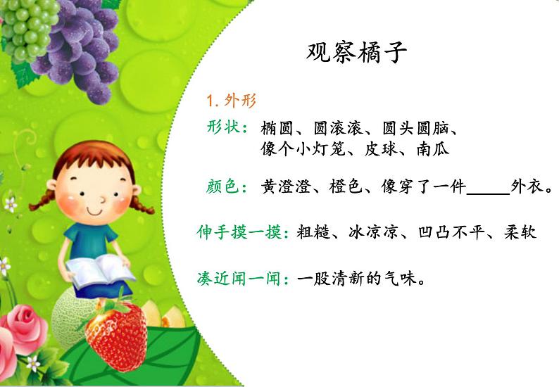 五感法作文启蒙 观察橘子1 课件04