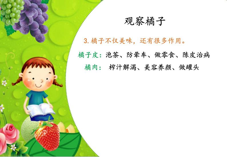 五感法作文启蒙 观察橘子1 课件06