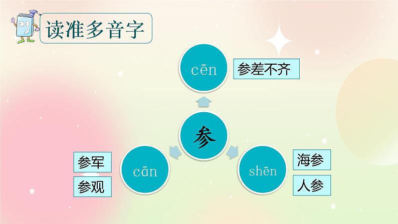 统编版3上语文 6.2 富饶的西沙群岛 课件第5页