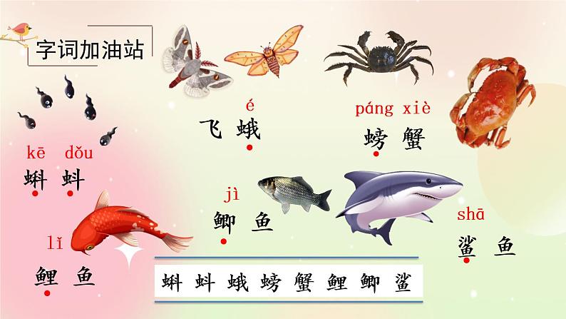统编版3上语文 6.6 语文园地 课件+教案+练习03