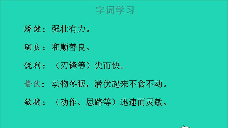 2022五年级语文上册第五单元17松鼠教学课件新人教版07