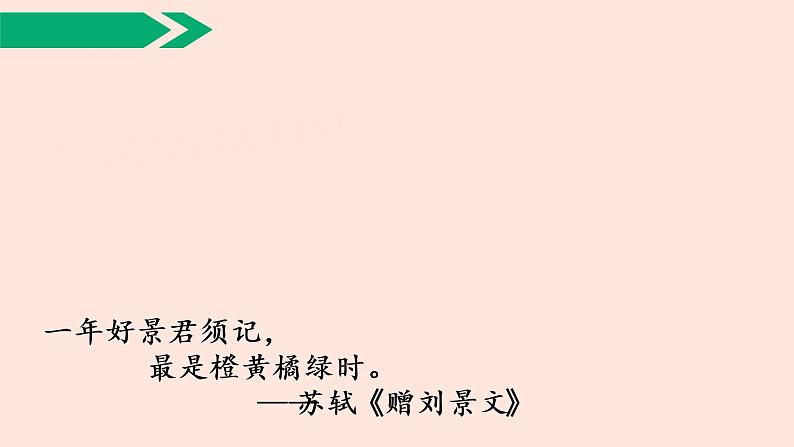 人教部编版语文三上:第4课《古诗三首-夜书所见》课件05