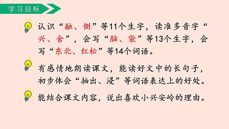 人教部编版语文三上:第20课《美丽的小兴安岭》课件05