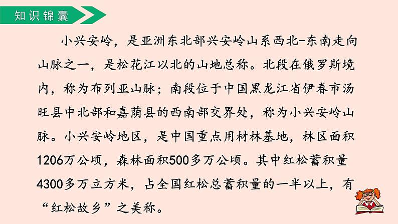 人教部编版语文三上:第20课《美丽的小兴安岭》课件06
