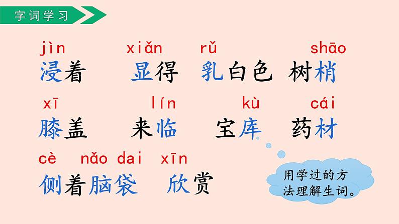 人教部编版语文三上:第20课《美丽的小兴安岭》课件08