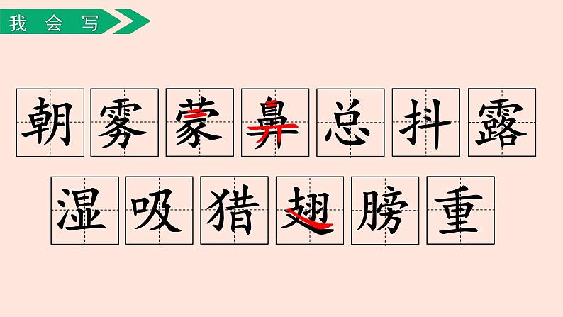 人教部编版语文三上:第23课《父亲、树林和鸟》课件08