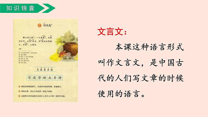 人教部编版语文三上:第24课《司马光》课件第7页