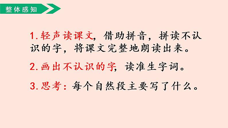 人教部编版语文三下:第20课《肥皂泡》课件第6页
