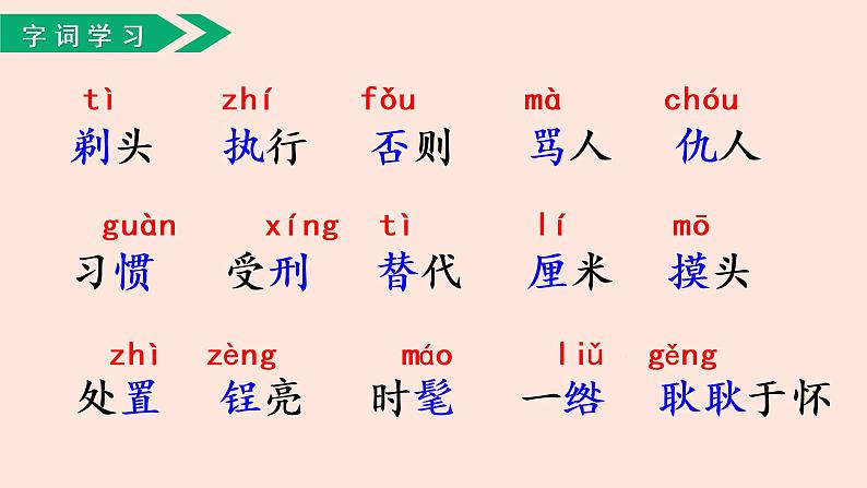 人教部编版语文三下:第19课《剃头大师》课件07