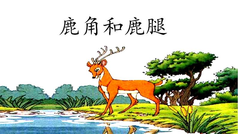 7.《鹿角和鹿腿》第1课时 课件05