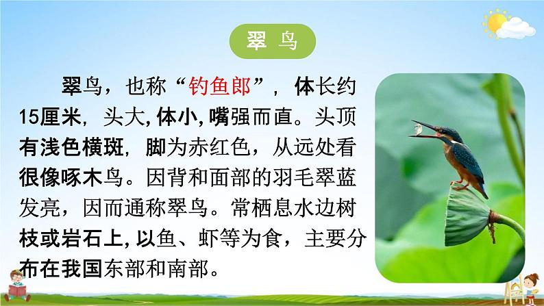 人教统编版三年级语文上册《15 搭船的鸟 第1课时》课堂教学课件PPT小学公开课第4页