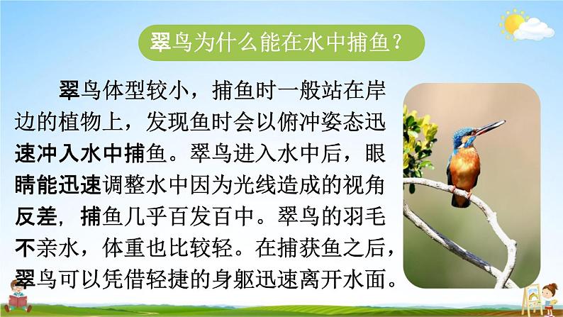 人教统编版三年级语文上册《15 搭船的鸟 第1课时》课堂教学课件PPT小学公开课第5页