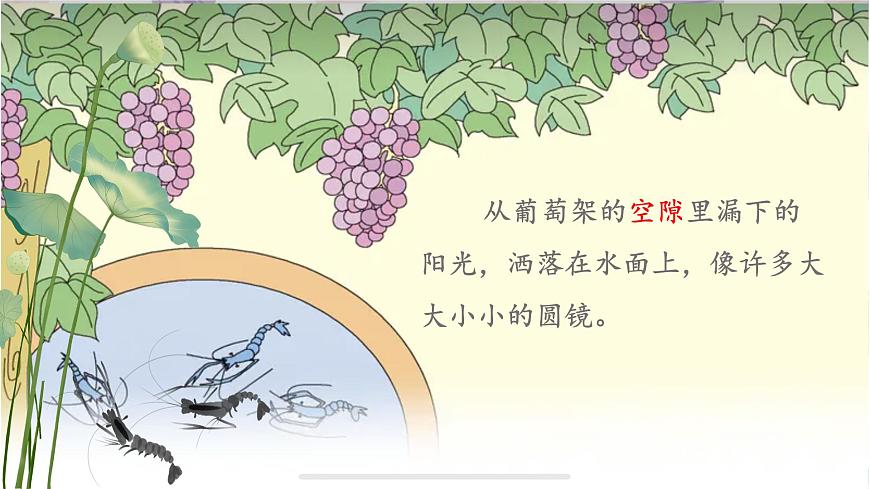 語文三年級(jí)下冊(cè)第四單元第15課《小蝦》課件第7頁