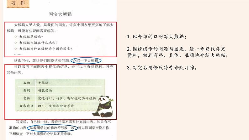 语文三年级下册第七单元习作《国宝大熊猫》课件04