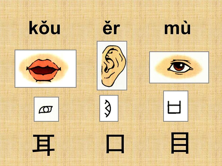 人教版一年級(jí)上冊(cè)識(shí)字一第2課《口耳目》多媒體課件第2頁(yè)